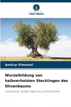 Wurzelbildung von halbverholzten Stecklingen des Olivenbaums