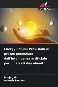 EnergyBidSim