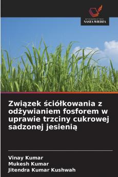 Związek ściółkowania z odżywianiem fosforem w uprawie trzciny cukrowej sadzonej jesienią