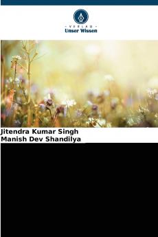 Medizinisch-floristische Bewertung der physiochemischen Eigenschaften des Bodens von Meja