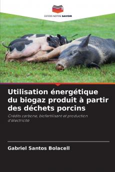 Utilisation énergétique du biogaz produit à partir des déchets porcins