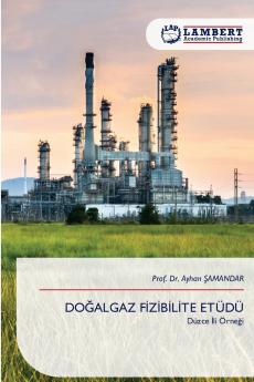 DOĞALGAZ FİZİBİLİTE ETÜDÜ