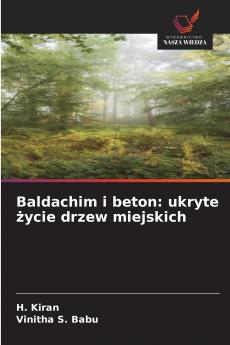 Baldachim i beton