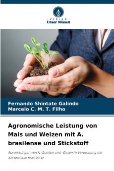 Agronomische Leistung von Mais und Weizen mit A. brasilense und Stickstoff