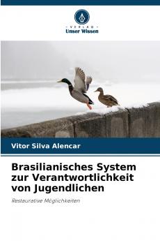 Brasilianisches System zur Verantwortlichkeit von Jugendlichen