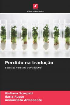 Perdido na tradução