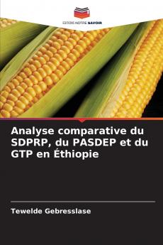 Analyse comparative du SDPRP du PASDEP et du GTP en Éthiopie