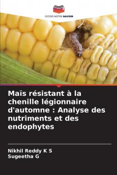 Maïs résistant à la chenille légionnaire d'automne