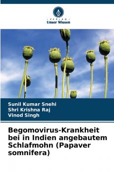 Begomovirus-Krankheit bei in Indien angebautem Schlafmohn (Papaver somnifera)