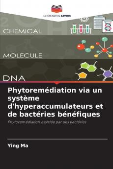 Phytoremédiation via un système d'hyperaccumulateurs et de bactéries bénéfiques