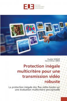 Protection inégale multicritère pour une transmission vidéo robuste