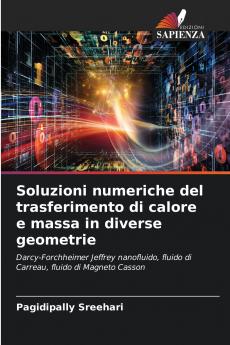 Soluzioni numeriche del trasferimento di calore e massa in diverse geometrie