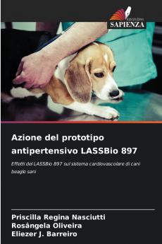 Azione del prototipo antipertensivo LASSBio 897