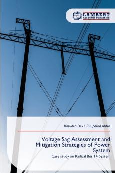 Voltage Sag Assessment and Mitigation Strategies of Power System