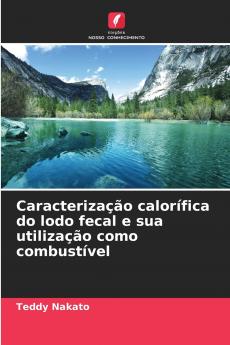 Caracterização calorífica do lodo fecal e sua utilização como combustível