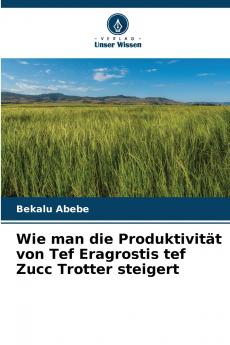 Wie man die Produktivität von Tef Eragrostis tef Zucc Trotter steigert