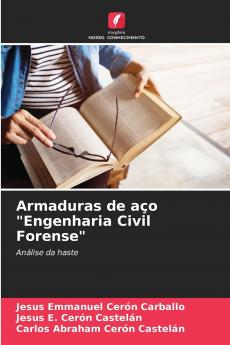 Armaduras de aço Engenharia Civil Forense