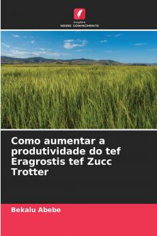 Como aumentar a produtividade do tef Eragrostis tef Zucc Trotter