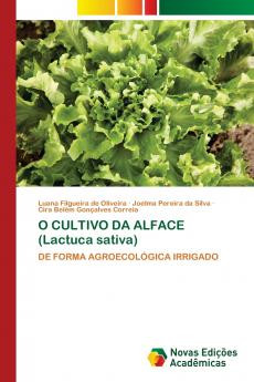 O CULTIVO DA ALFACE (Lactuca sativa)