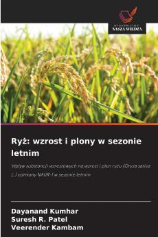Ryż