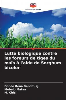 Lutte biologique contre les foreurs de tiges du maïs à l'aide de Sorghum bicolor