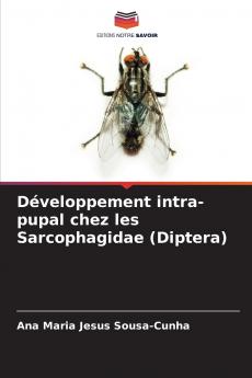 Développement intra-pupal chez les Sarcophagidae (Diptera)