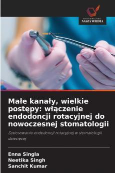 Małe kanały wielkie postępy