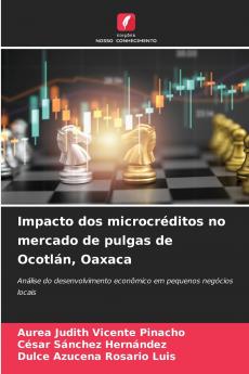 Impacto dos microcréditos no mercado de pulgas de Ocotlán Oaxaca