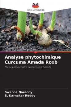 Analyse phytochimique Curcuma Amada Roxb