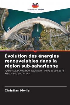 Évolution des énergies renouvelables dans la région sub-saharienne