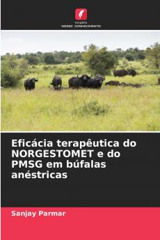 Eficácia terapêutica do NORGESTOMET e do PMSG em búfalas anéstricas