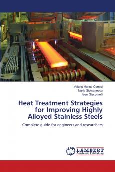 Heat Treatment Strategies for Improving Highly Alloyed Stainless Steels