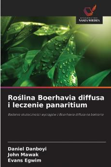 Roślina Boerhavia diffusa i leczenie panaritium