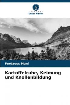 Kartoffelruhe Keimung und Knollenbildung