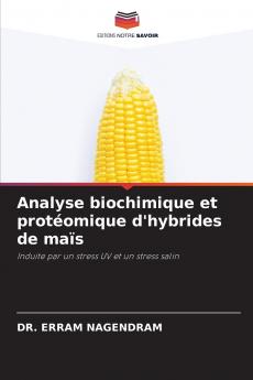 Analyse biochimique et protéomique d'hybrides de maïs