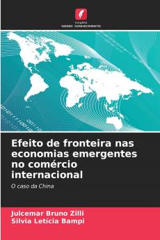 Efeito de fronteira nas economias emergentes no comércio internacional