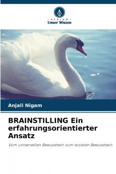 BRAINSTILLING Ein erfahrungsorientierter Ansatz