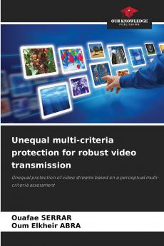 Unequal multi-criteria protection for robust video transmission