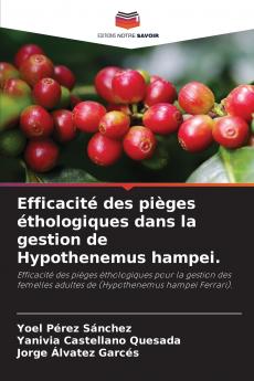 Efficacité des pièges éthologiques dans la gestion de Hypothenemus hampei.