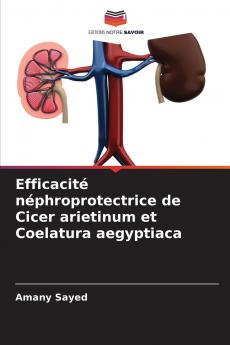 Efficacité néphroprotectrice de Cicer arietinum et Coelatura aegyptiaca