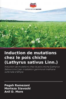 Induction de mutations chez le pois chiche (Lathyrus sativus Linn.)
