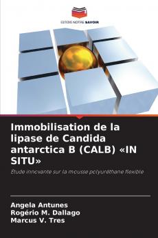 Immobilisation de la lipase de Candida antarctica B (CALB) IN SITU