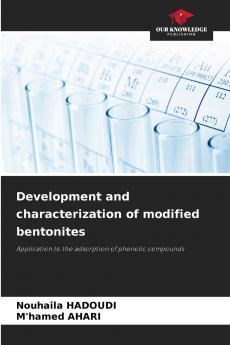 Development and characterization of modified bentonites