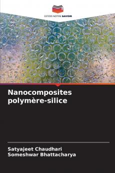 Nanocomposites polymère-silice
