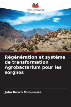 Régénération et système de transformation Agrobacterium pour les sorghos