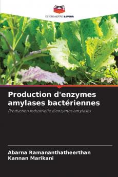 Production d'enzymes amylases bactériennes