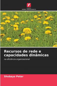 Recursos de rede e capacidades dinâmicas