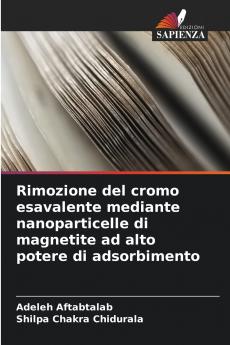 Rimozione del cromo esavalente mediante nanoparticelle di magnetite ad alto potere di adsorbimento