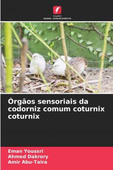 Órgãos sensoriais da codorniz comum coturnix coturnix