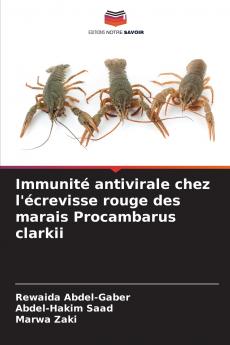 Immunité antivirale chez l'écrevisse rouge des marais Procambarus clarkii